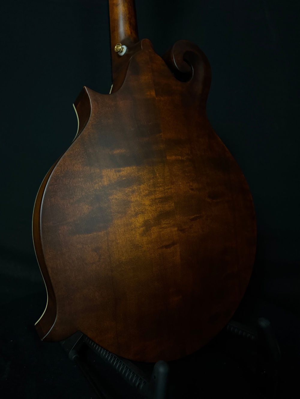2023 Eastman MDA315 Mandola back panel