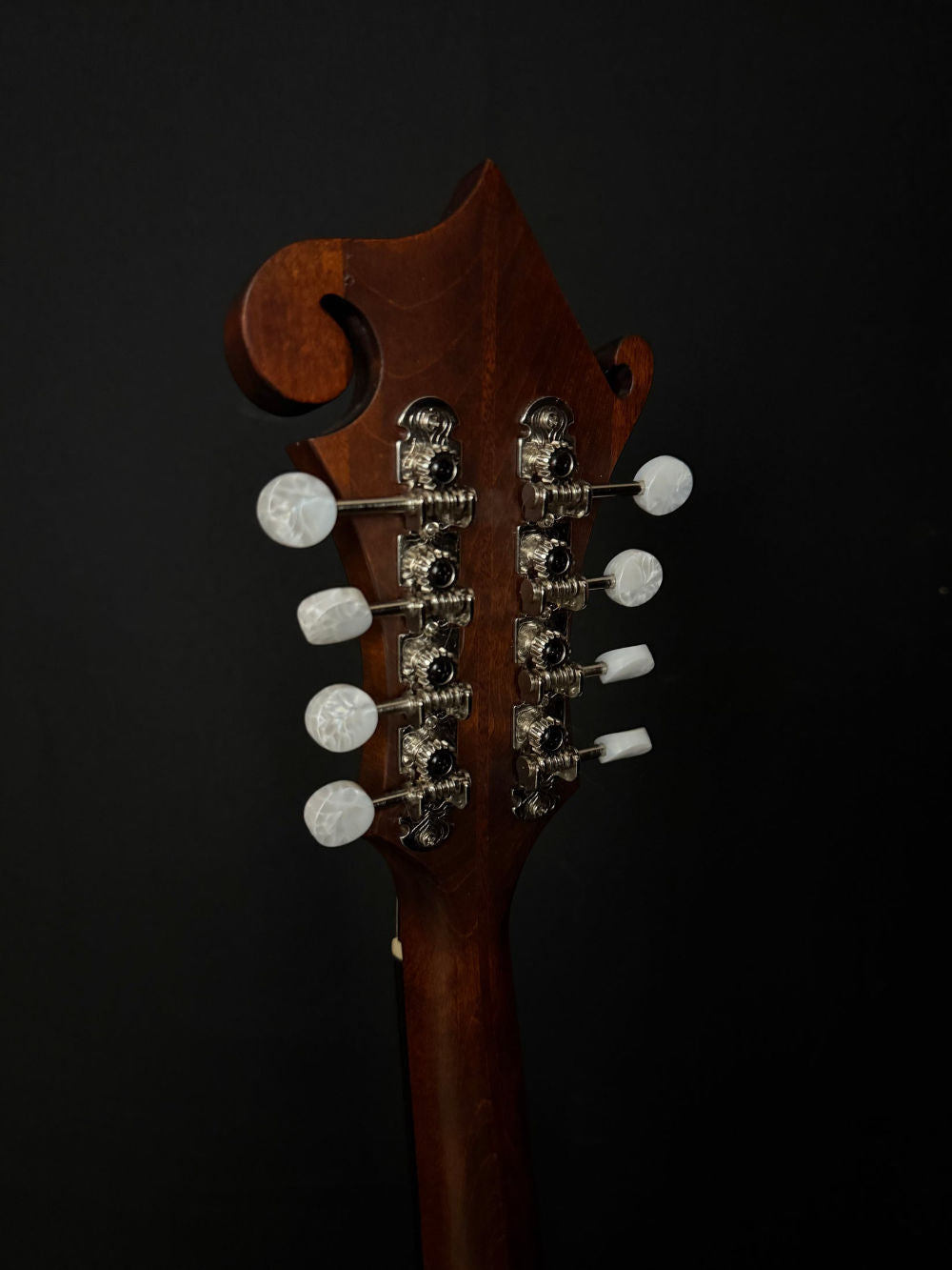 2023 Eastman MDA315 Mandola tuners