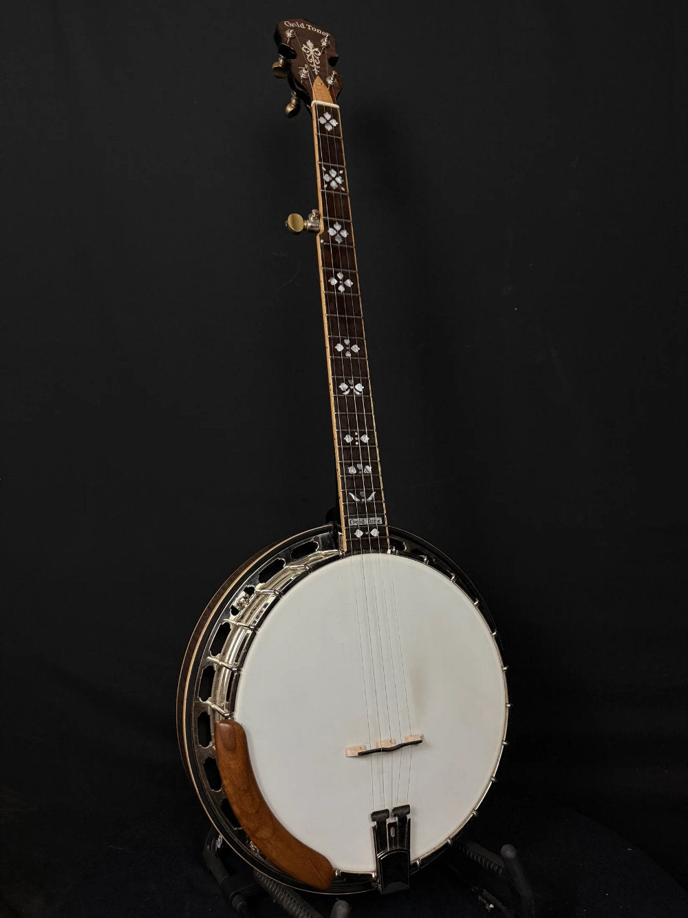 2023 Gold Tone OB250+TP Custom