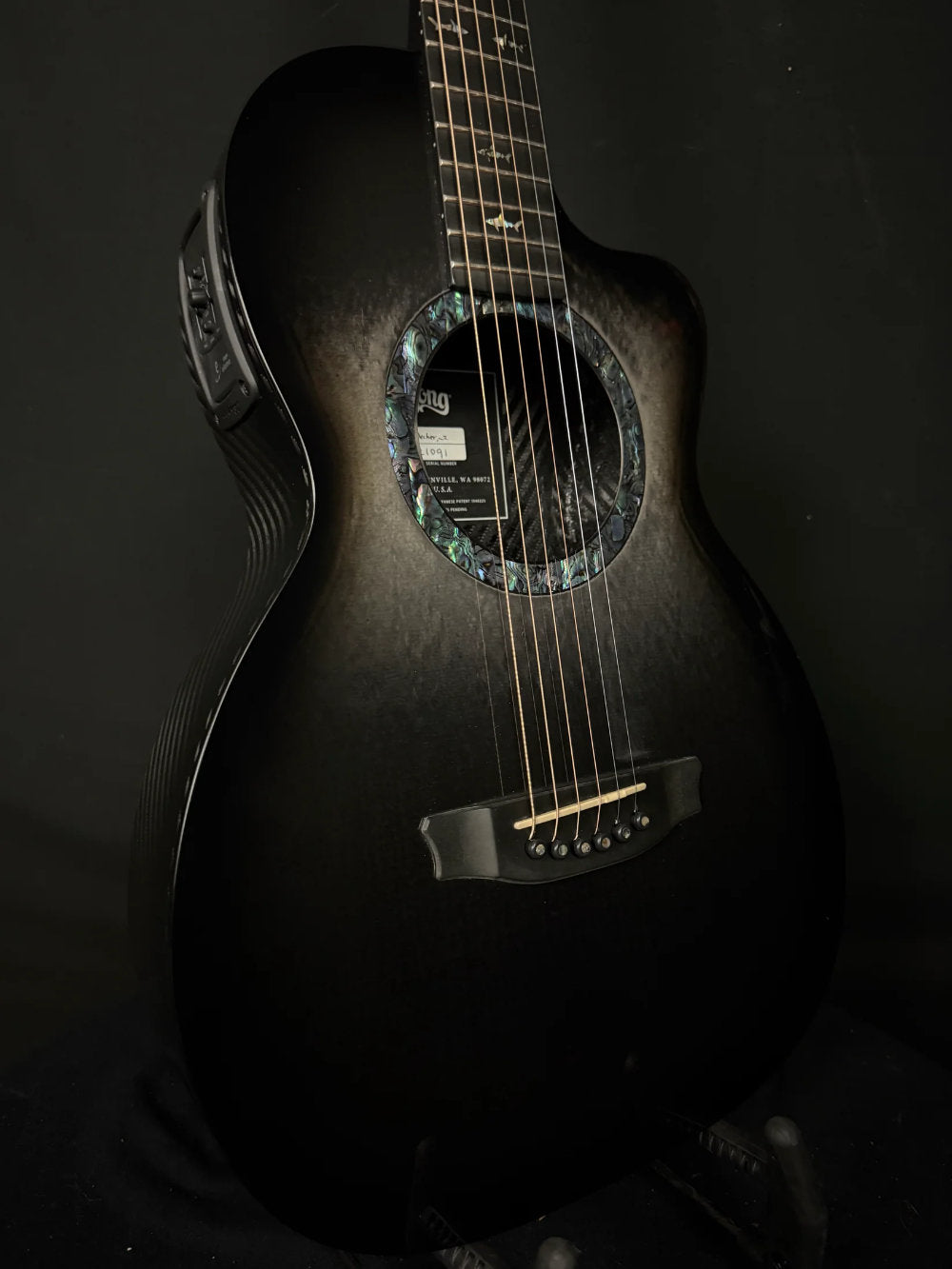 2023 Rainsong CO-PA1000NS Parlor Guitar