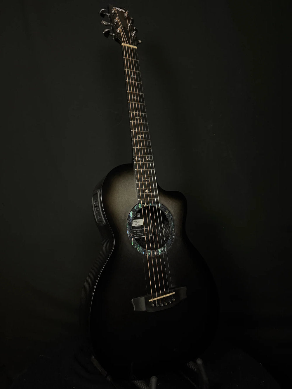 2023 Rainsong CO-PA1000NS Parlor Guitar