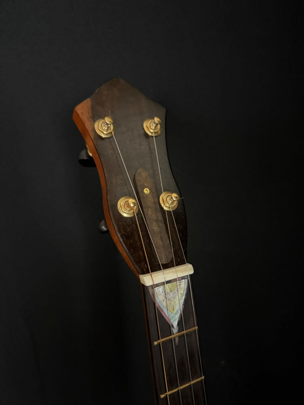 2024 Kyle Landers Lark banjo headstock