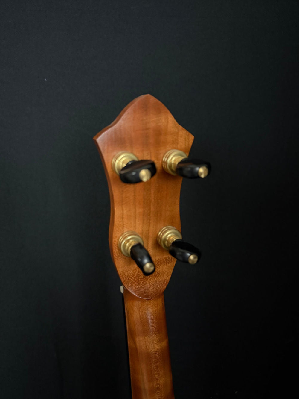 2024 Kyle Landers Lark banjo tuners