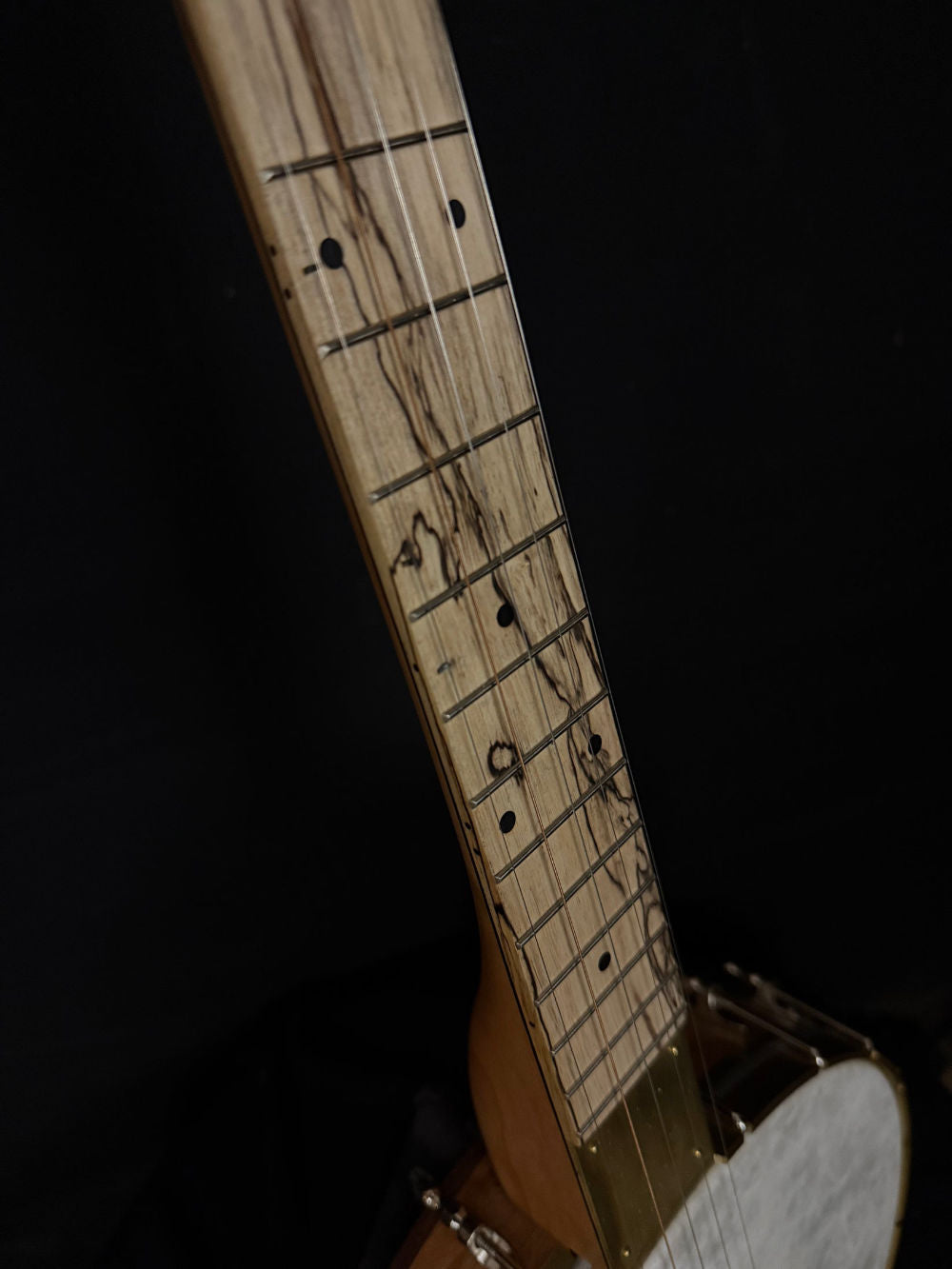 2025 Pisgah Banjo Company Custom Tubaphone Banjo fretboard