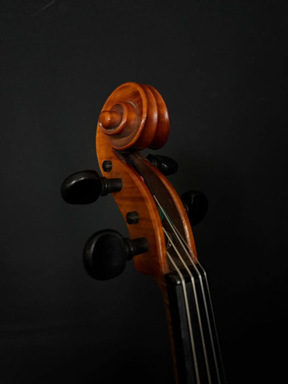 Circa 1920 Andreas Morelli Violin scroll