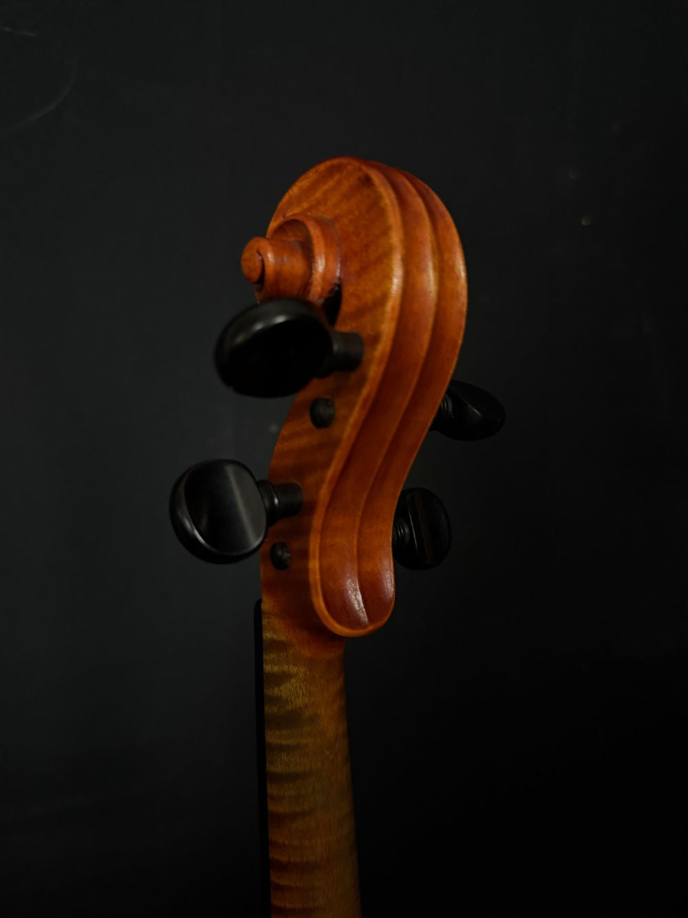 Circa 1920 Andreas Morelli Violin pegbox