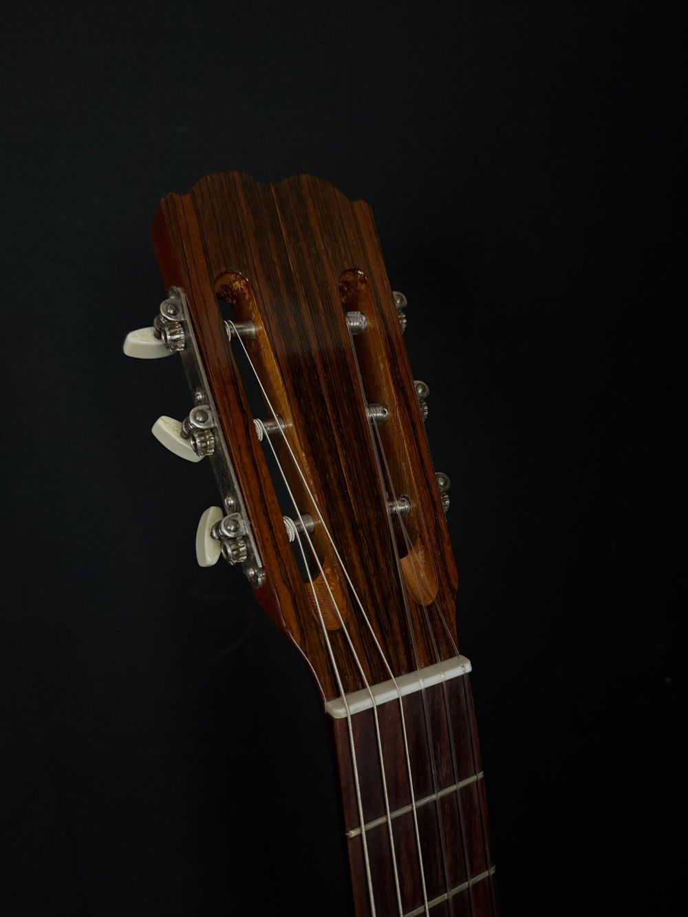 Circa 1965 Tarrega FT-112 classical guitar headstock. It has a Gibson-style open-book shape