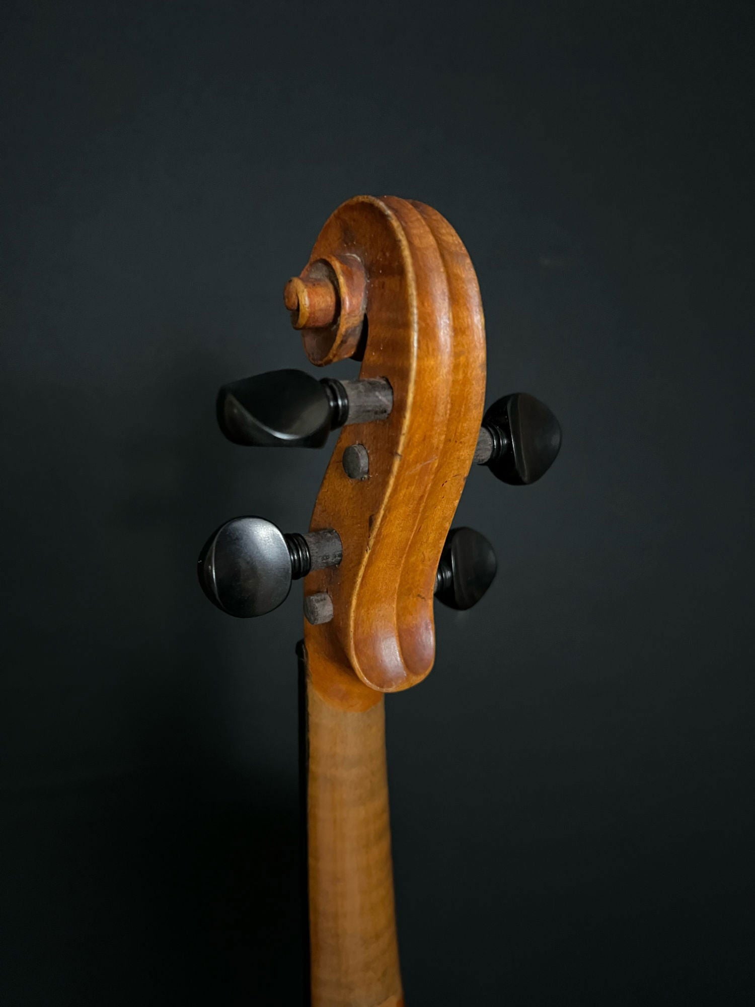Circa 1900 German Workshop Amati Copy - Acoustic Corner