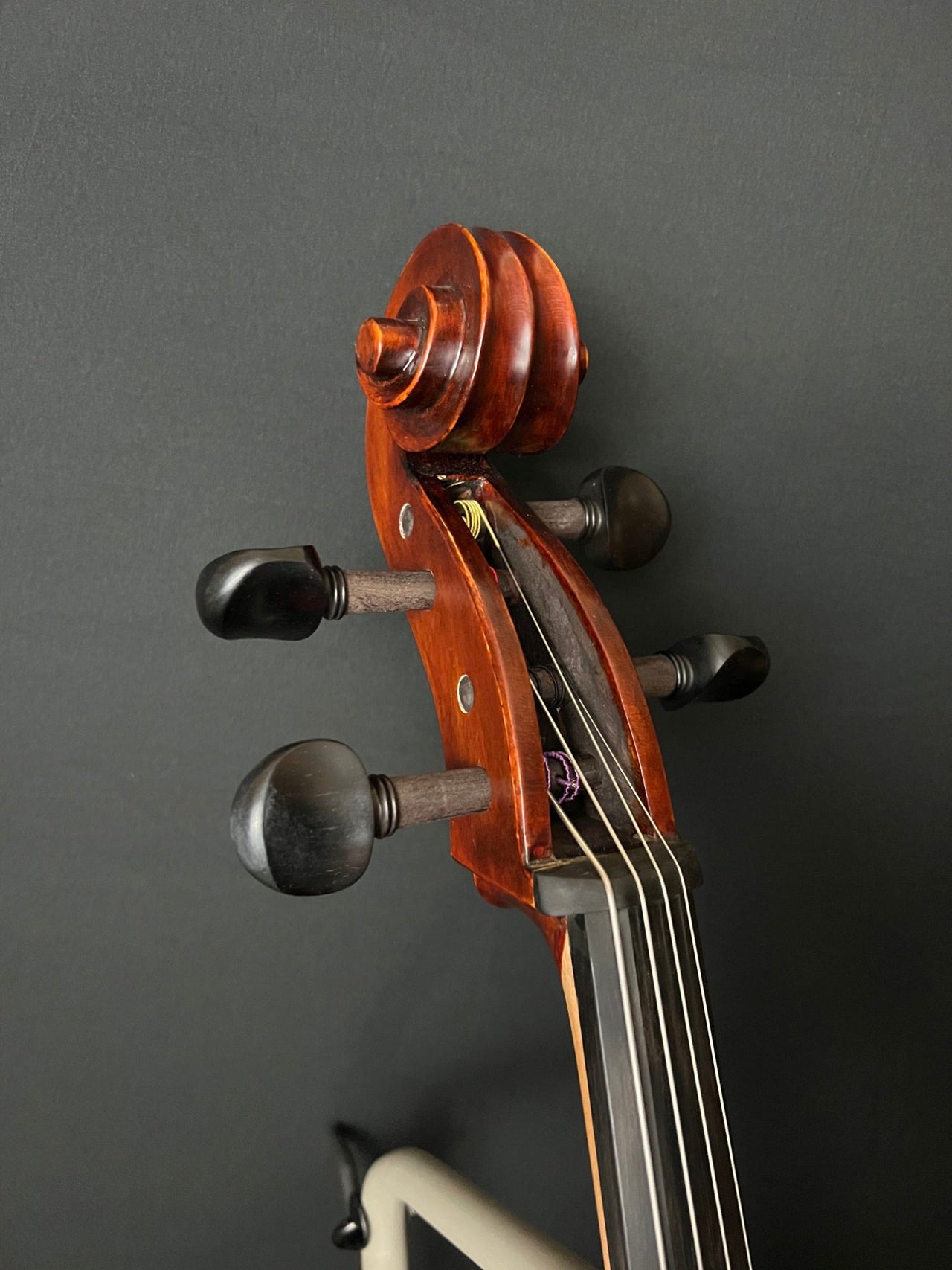 Eastman VC95 Cello - Acoustic Corner