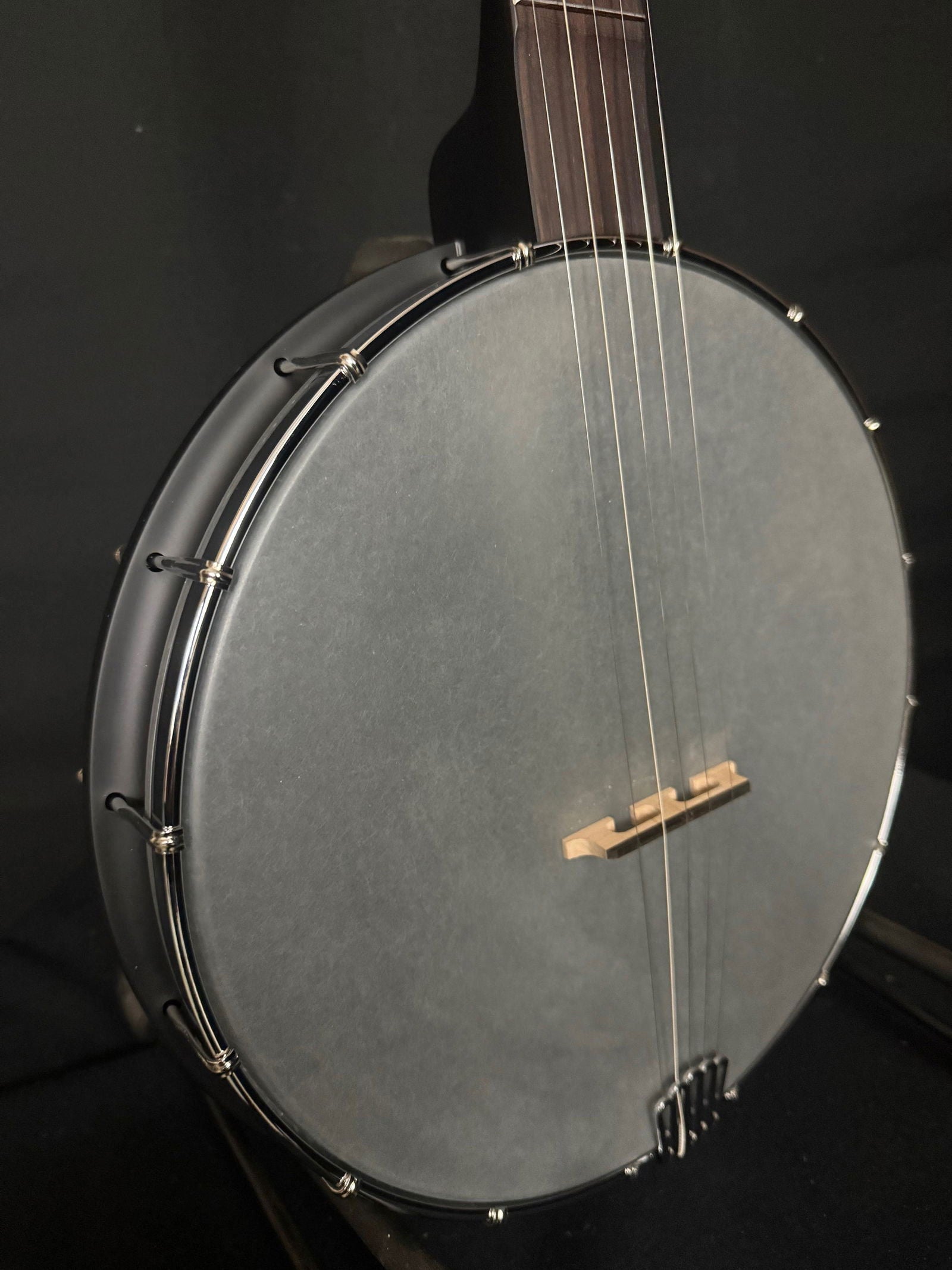 Gold Tone AC-12 Open-back Banjo - Acoustic Corner
