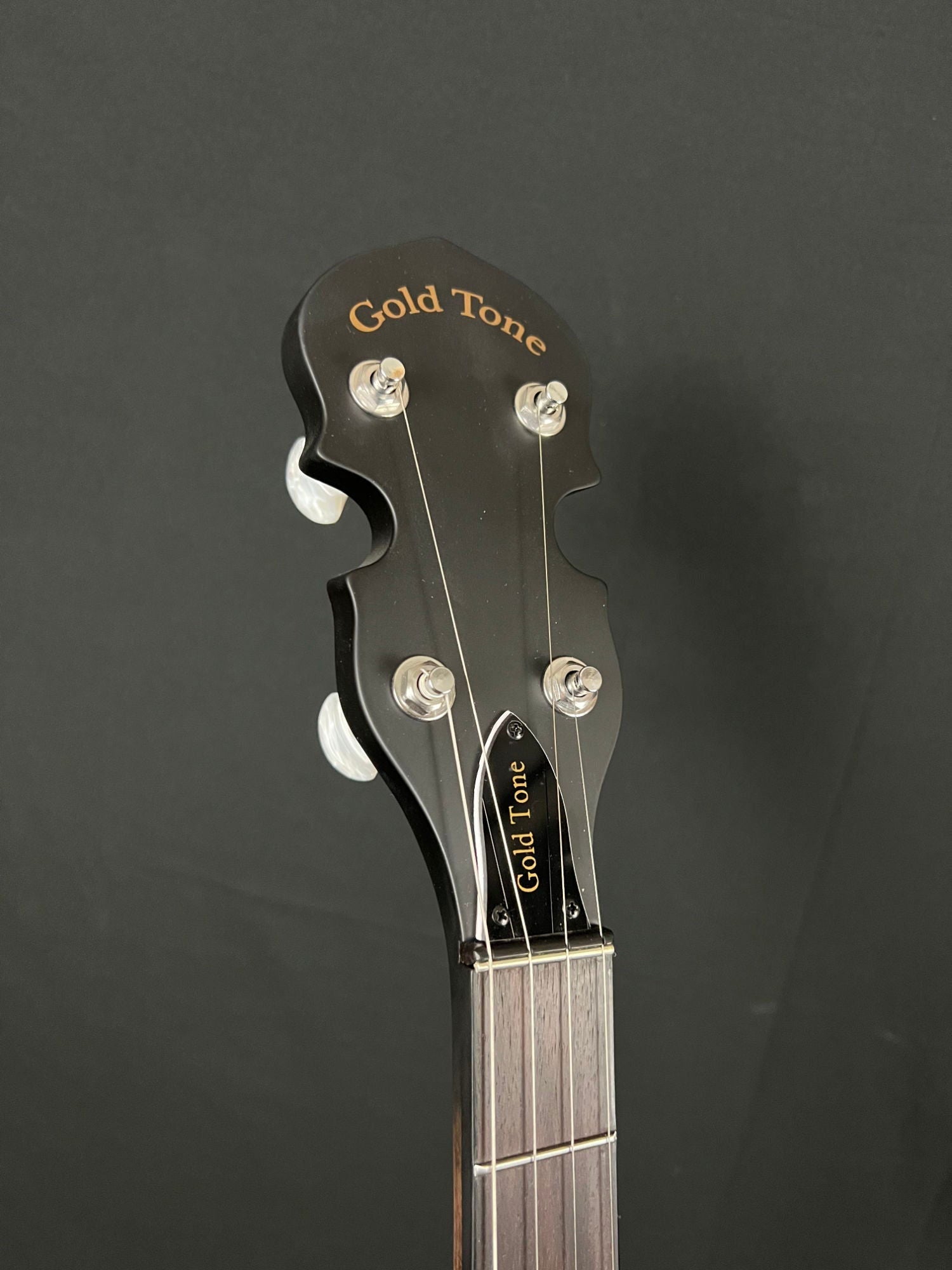 Gold Tone CC-50RP - Acoustic Corner