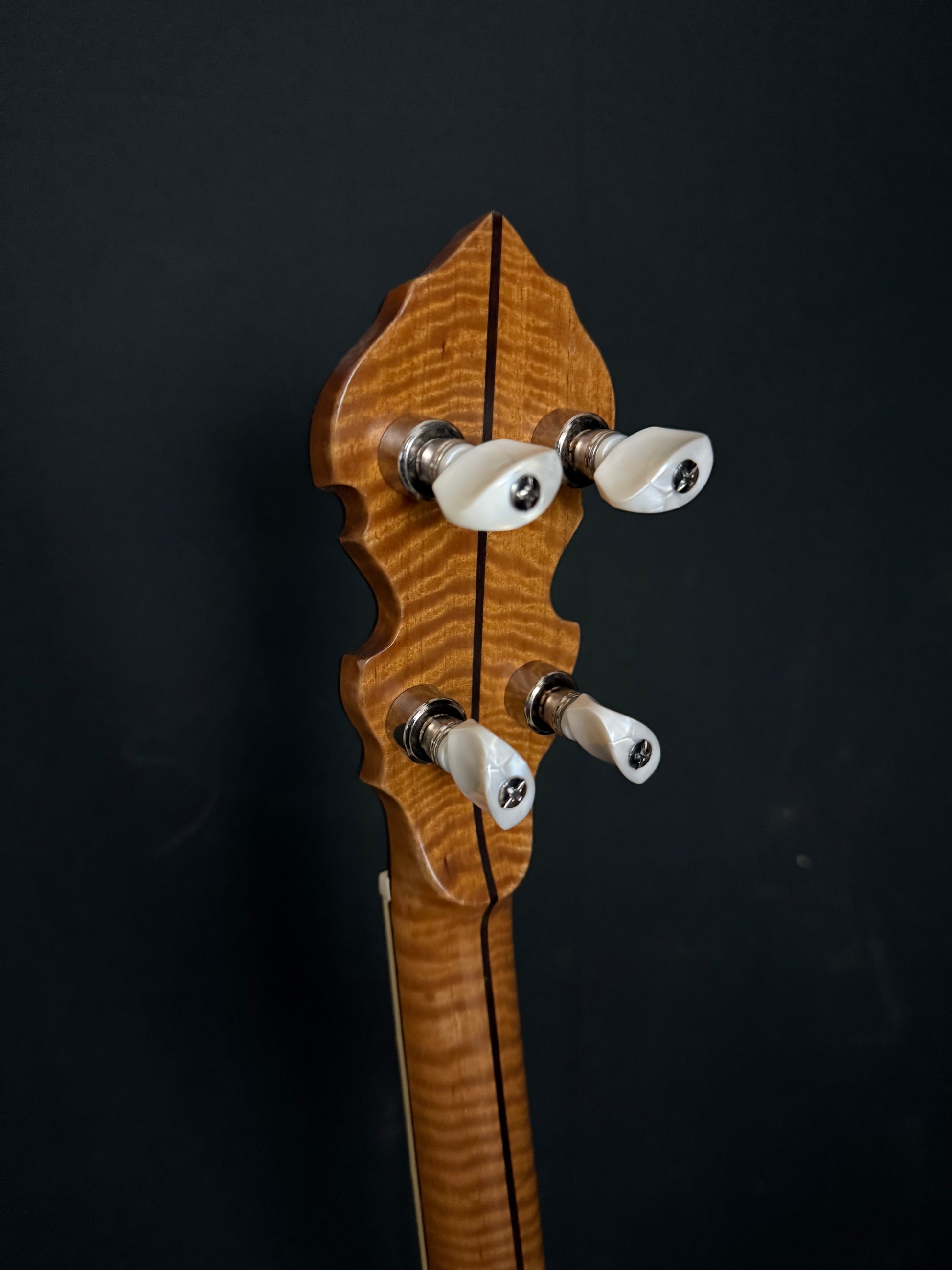 1923 Vega Whyte Laydie No.2 Conversion - Acoustic Corner