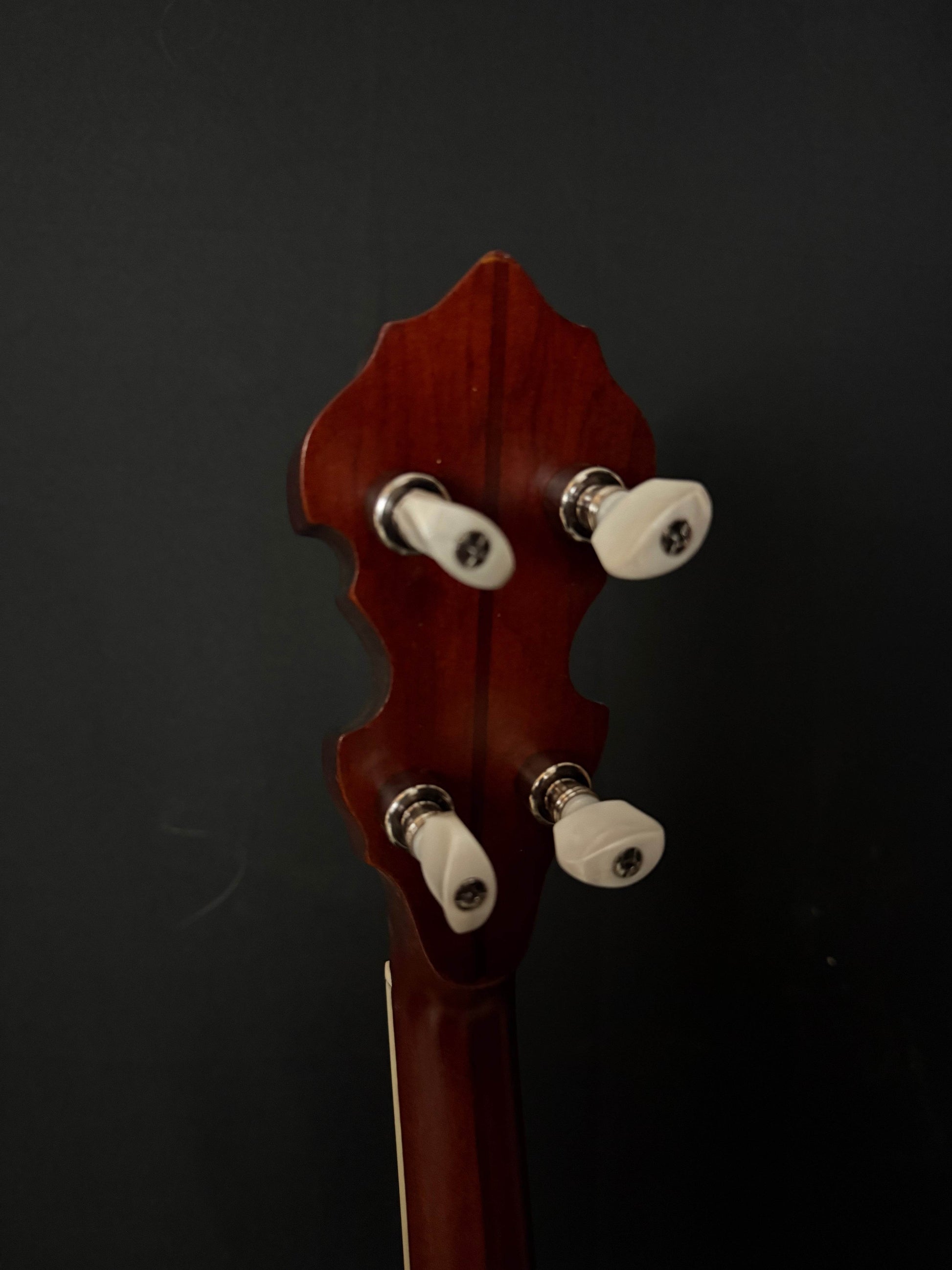 1927 Vega Tubaphone Professional Conversion - Acoustic Corner