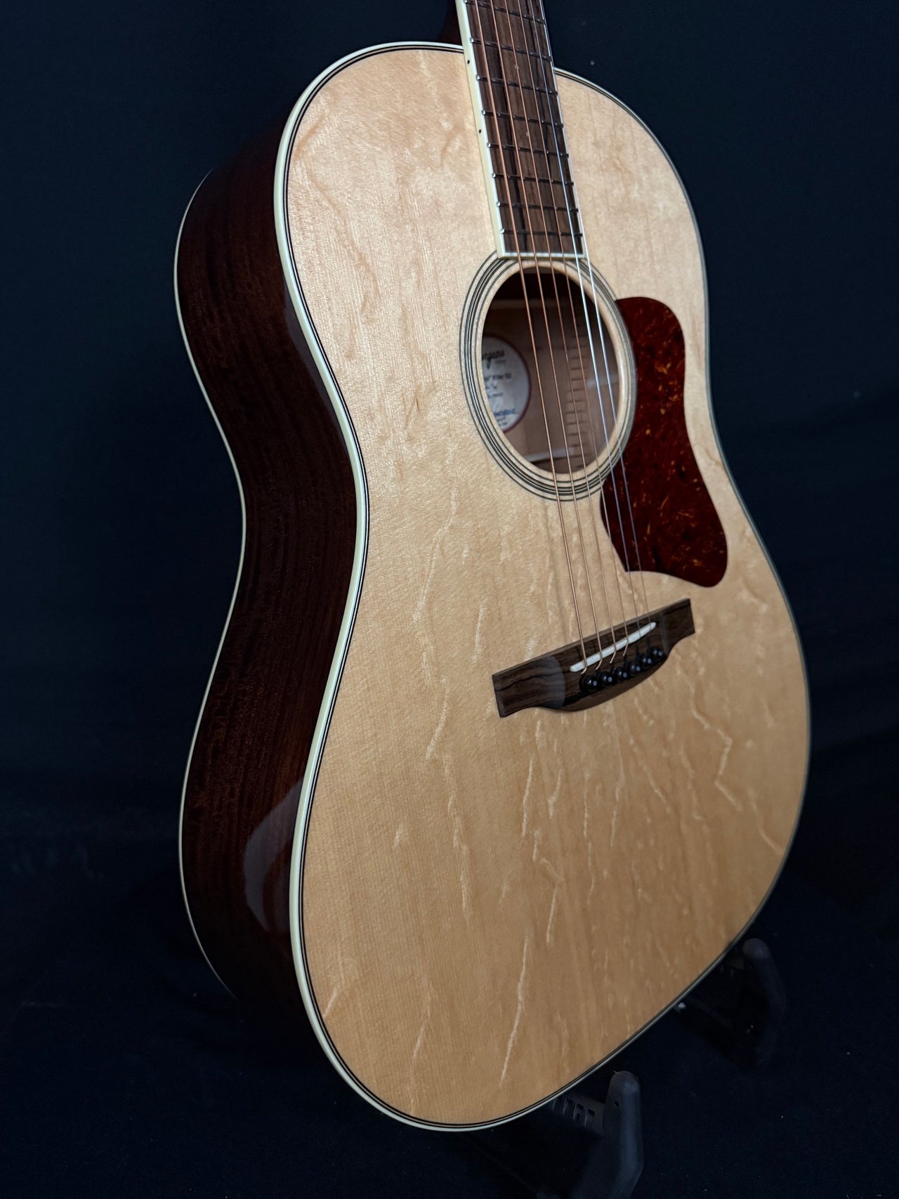 Bourgeois Banjo Killer Slope Dreadnaught