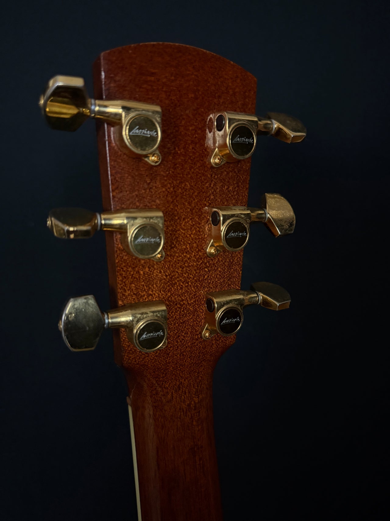 1998 Larrivée D10BZ