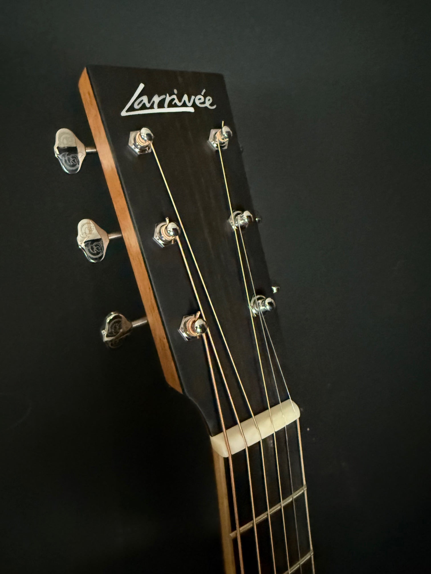 Larrivee D40R - Acoustic Corner