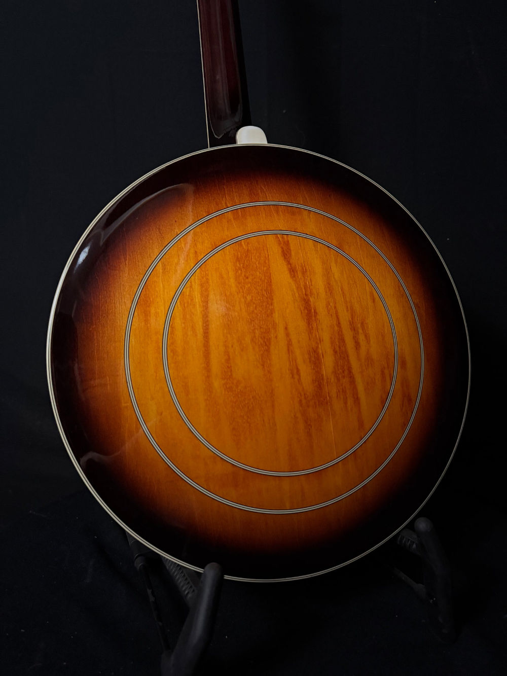 Washburn B-16 Resonator Banjo resonator