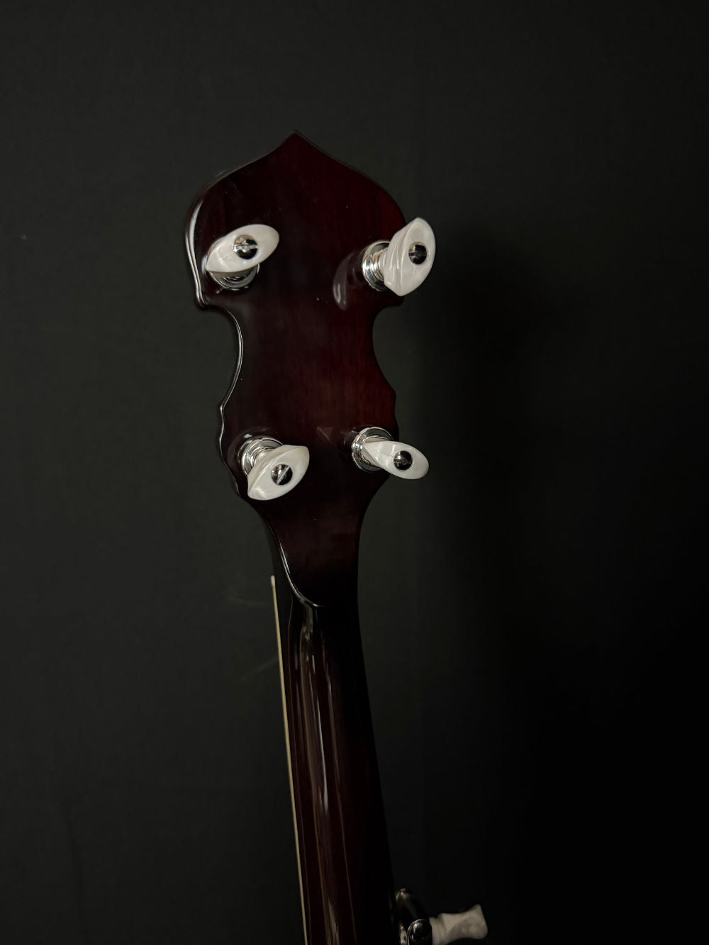 Washburn B-16 Resonator Banjo tuners