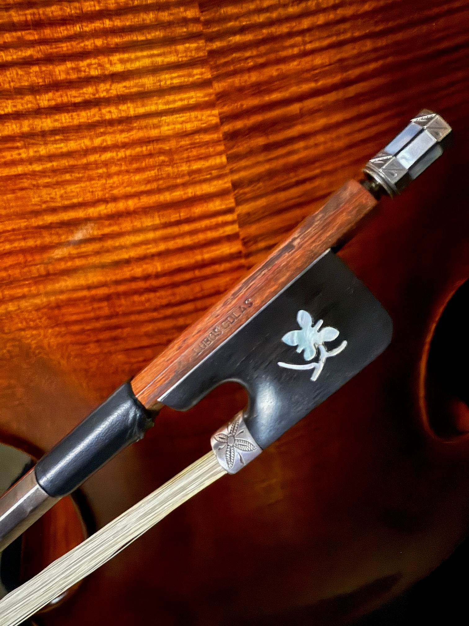 2000 Dunov Superior Cello Outfit - Acoustic Corner