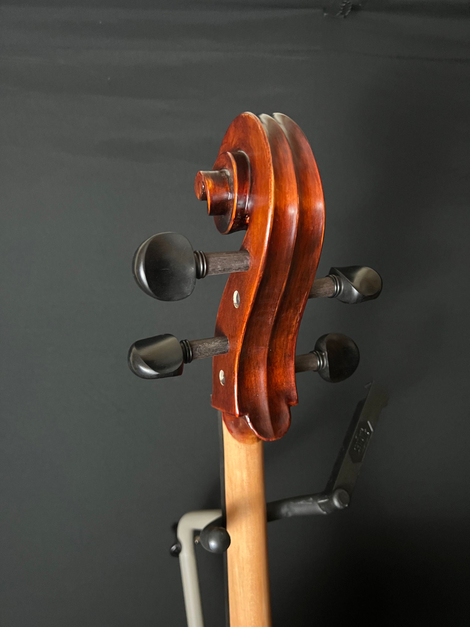 Eastman VC95 cello pegbox