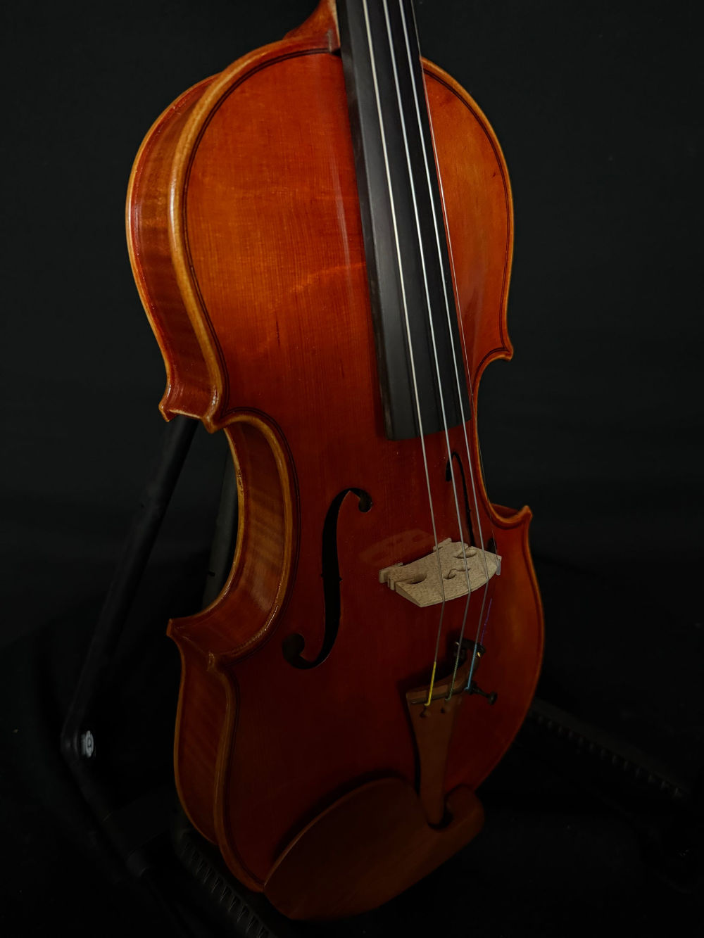 Eastman VL200 Violin