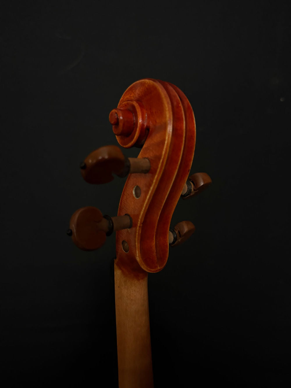 Eastman VL200 Violin pegbox