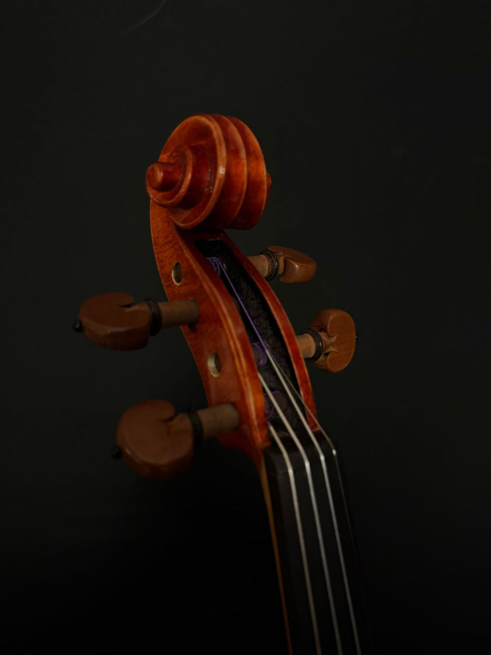 Eastman VL200 Violin pegs