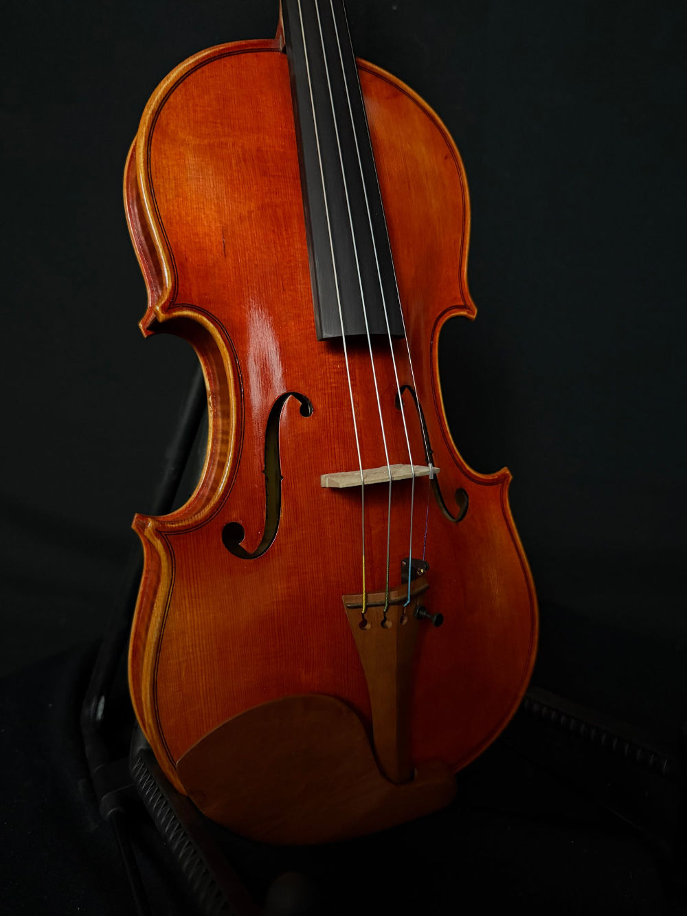 Eastman VL200 Violin