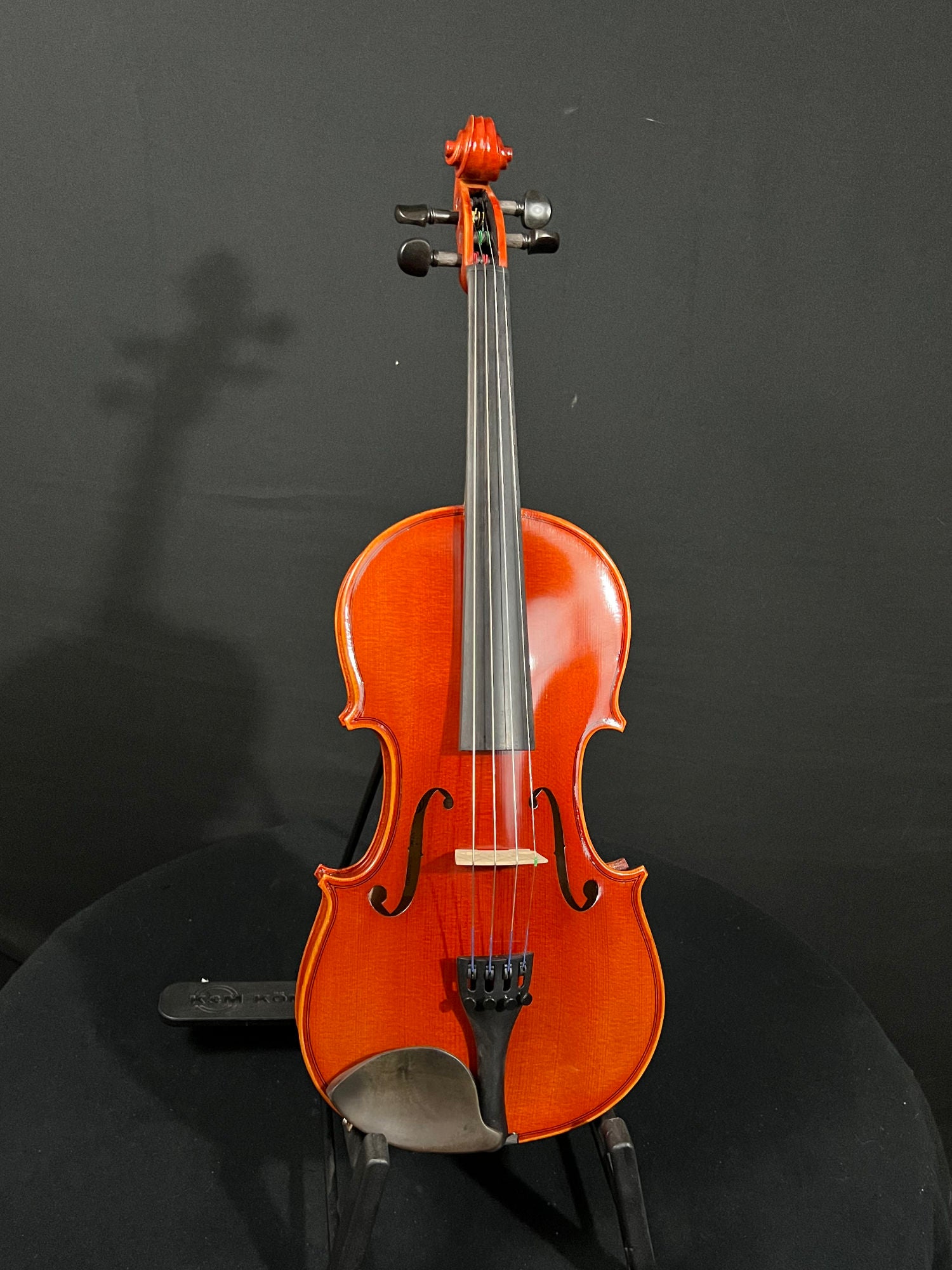 Eastman VL80 violin