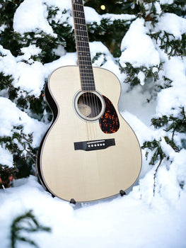 guitar in the snow