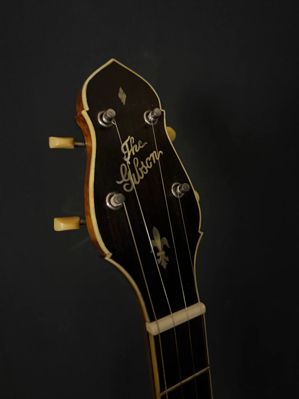 1922 Gibson TB-4 banjo headstock. The headstock reads "The Gibson."