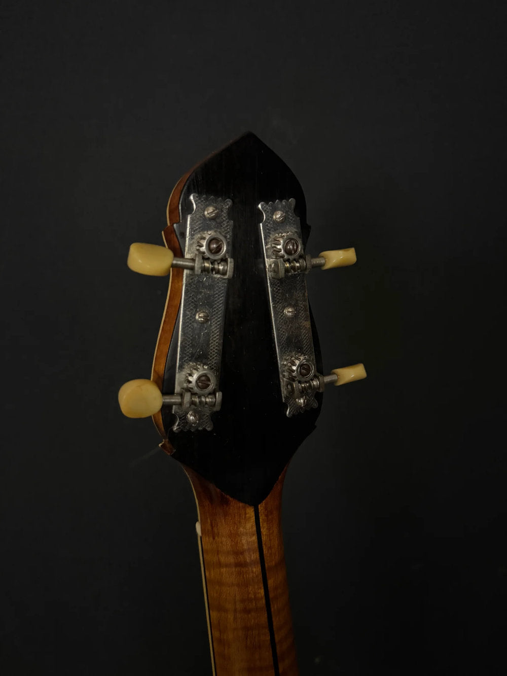 1922 Gibson TB-4 banjo tuners. There are 2 tuning pegs on each side of the headstock.