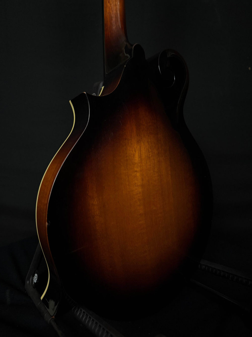 2003 Weber Bitterroot F-Style Mandolin back panel