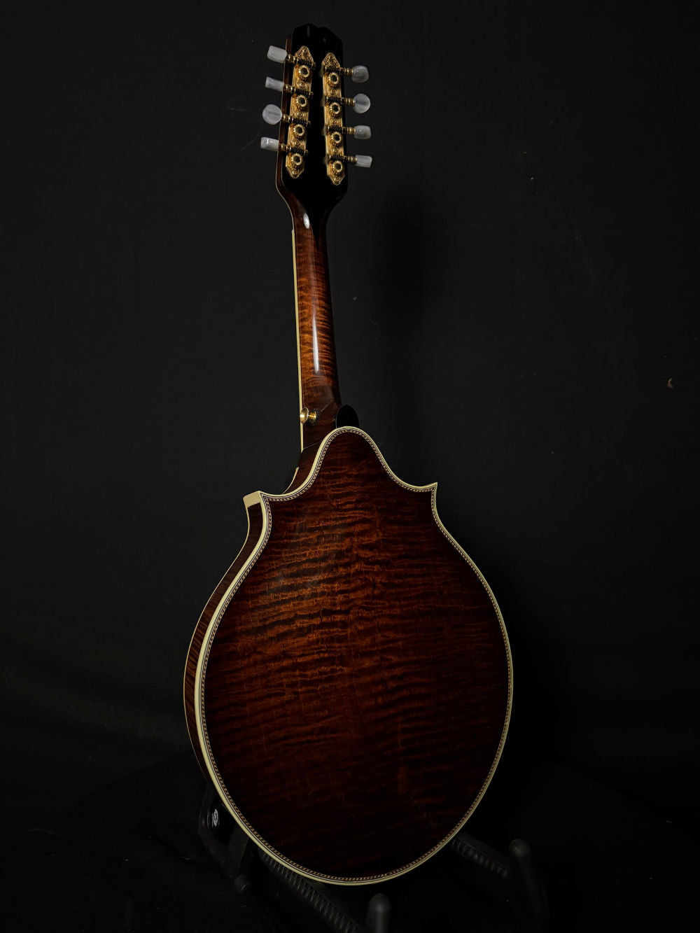 2004 Weber Bighorn Custom mandolin back