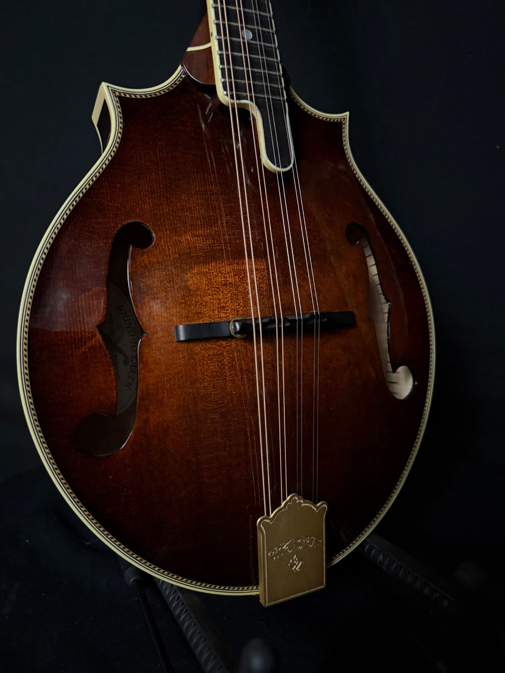 2004 Weber Bighorn Custom mandolin body