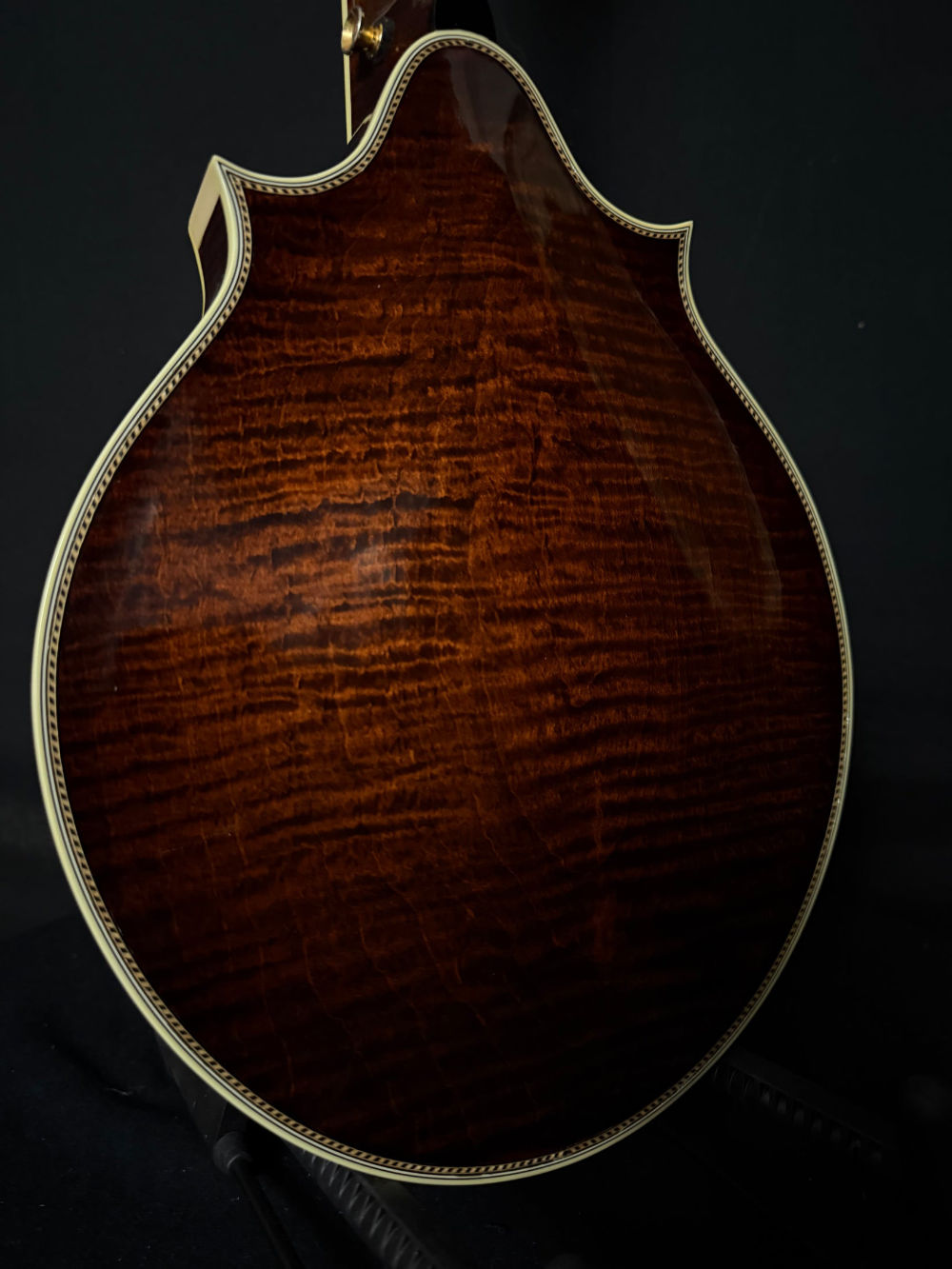2004 Weber Bighorn Custom mandolin back panel