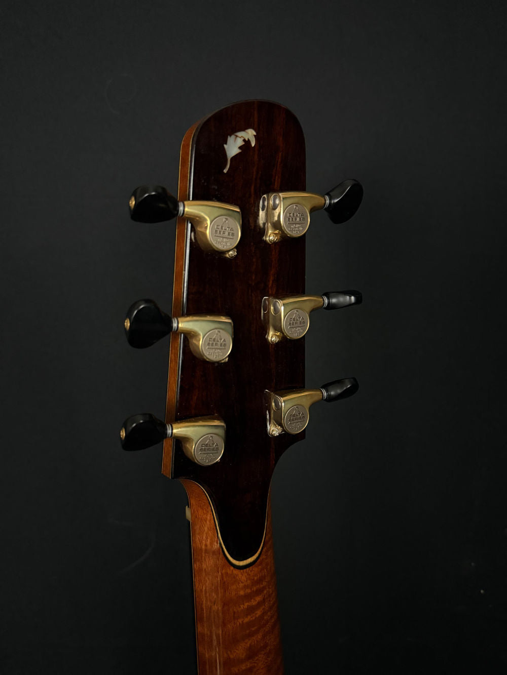 2015 Tom Bills Genesis II #1805 acoustic guitar tuners