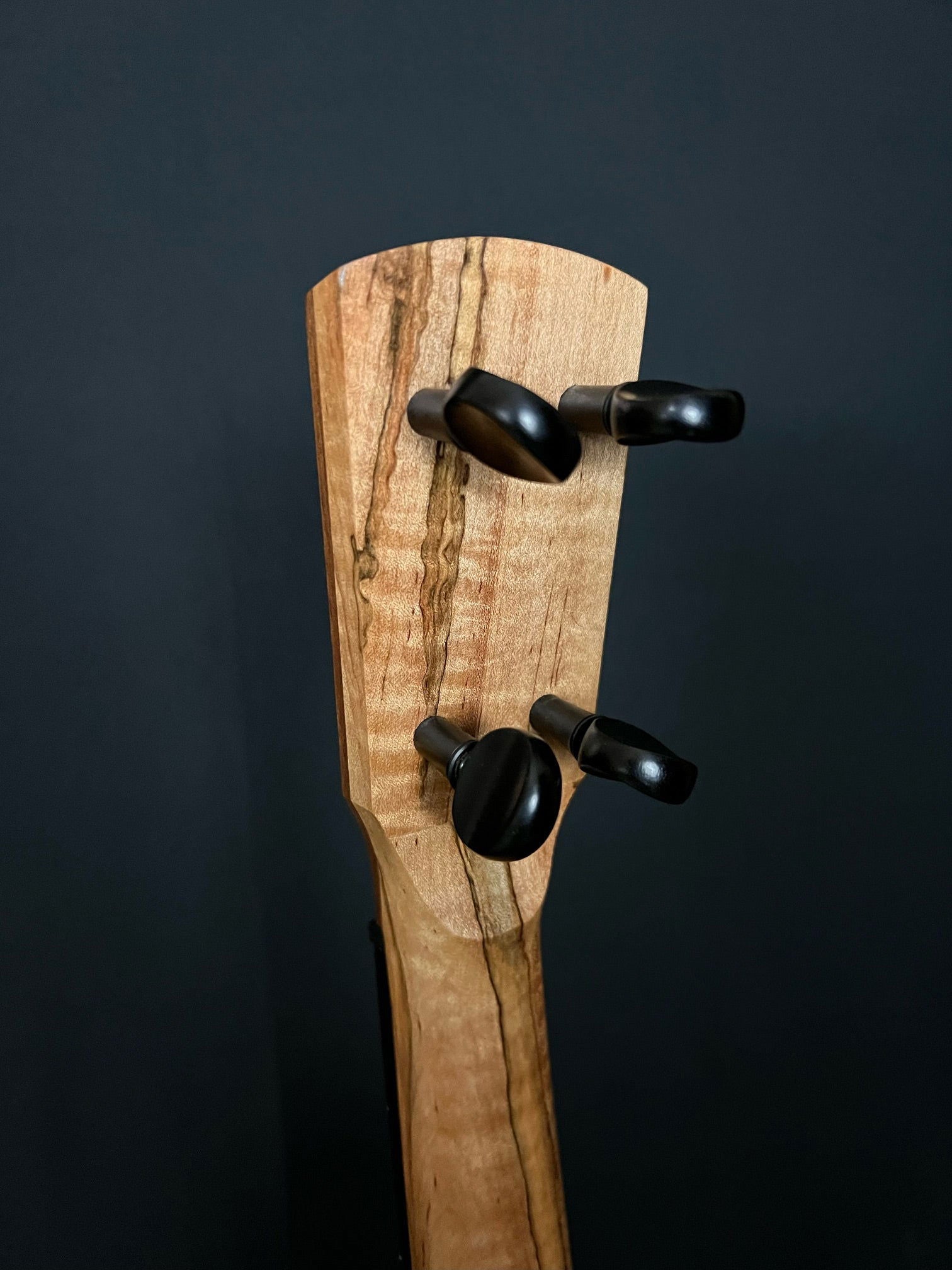 2020 Deep Creek Strings Tackhead Banjo - Acoustic Corner