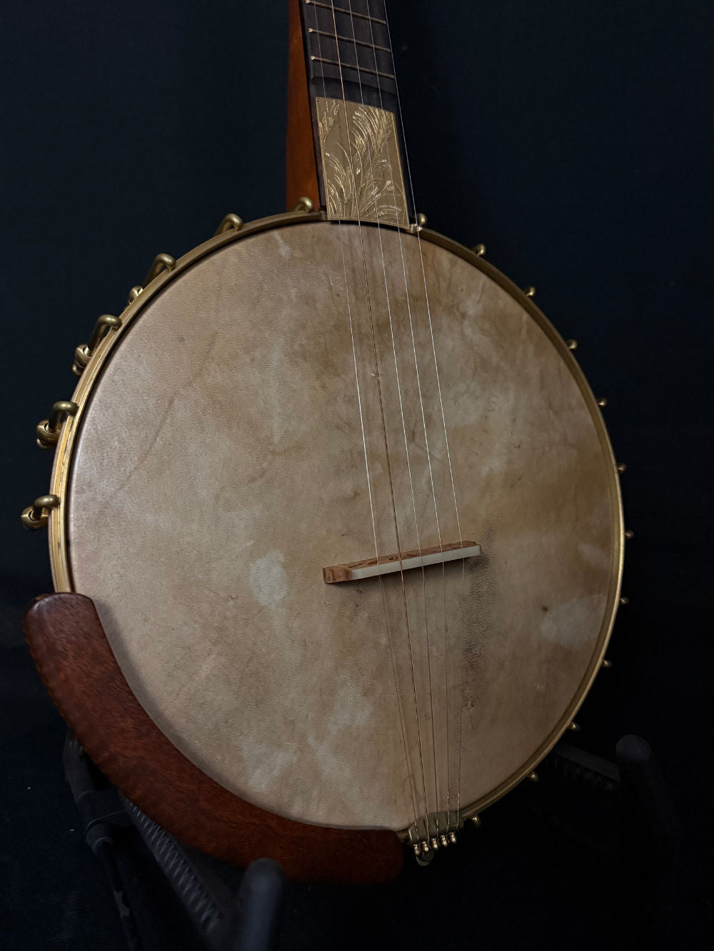 2024 Kyle Landers Lark banjo body