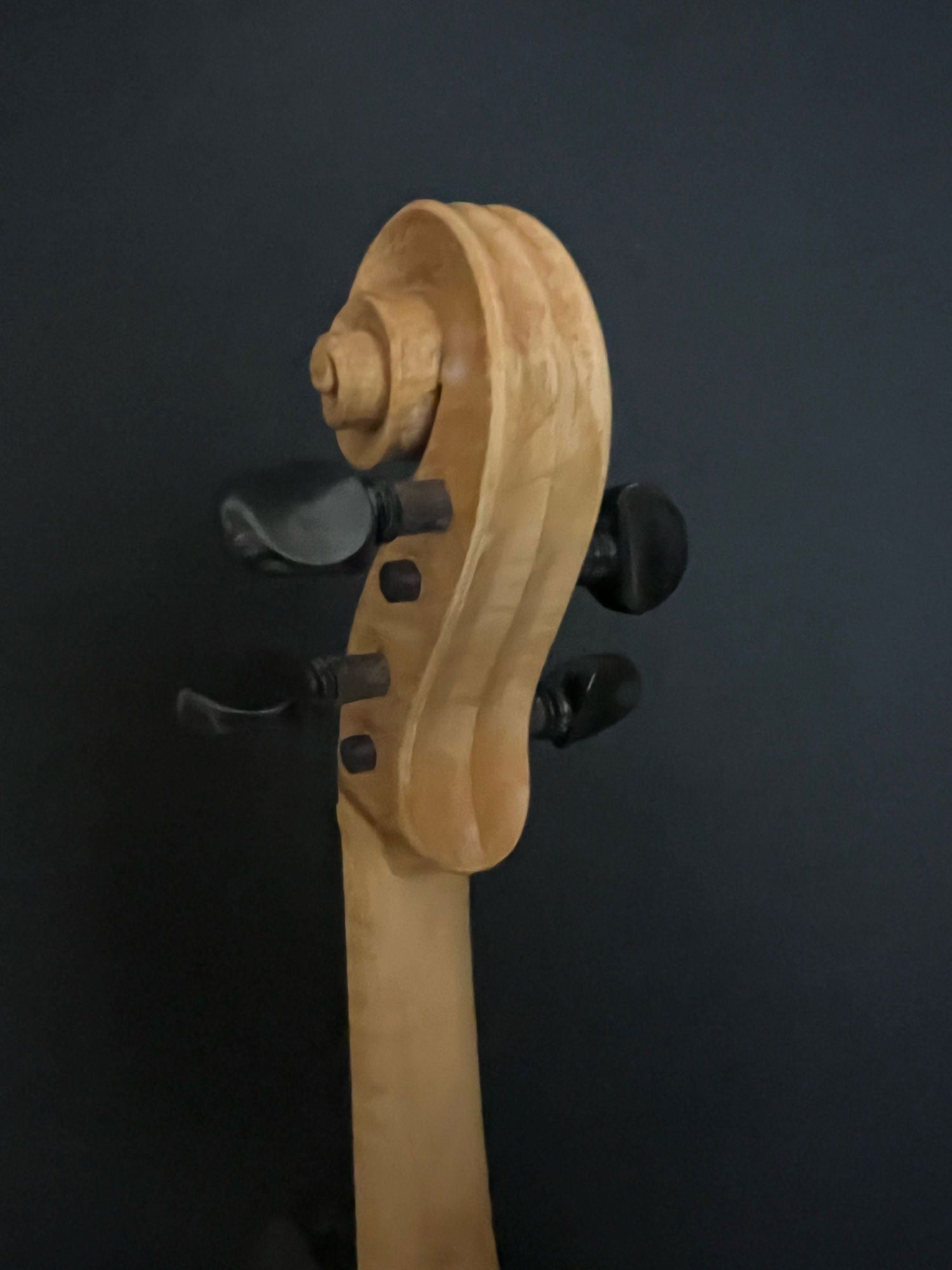 2009 Lyle Reedy 3/4 length fiddle - Acoustic Corner