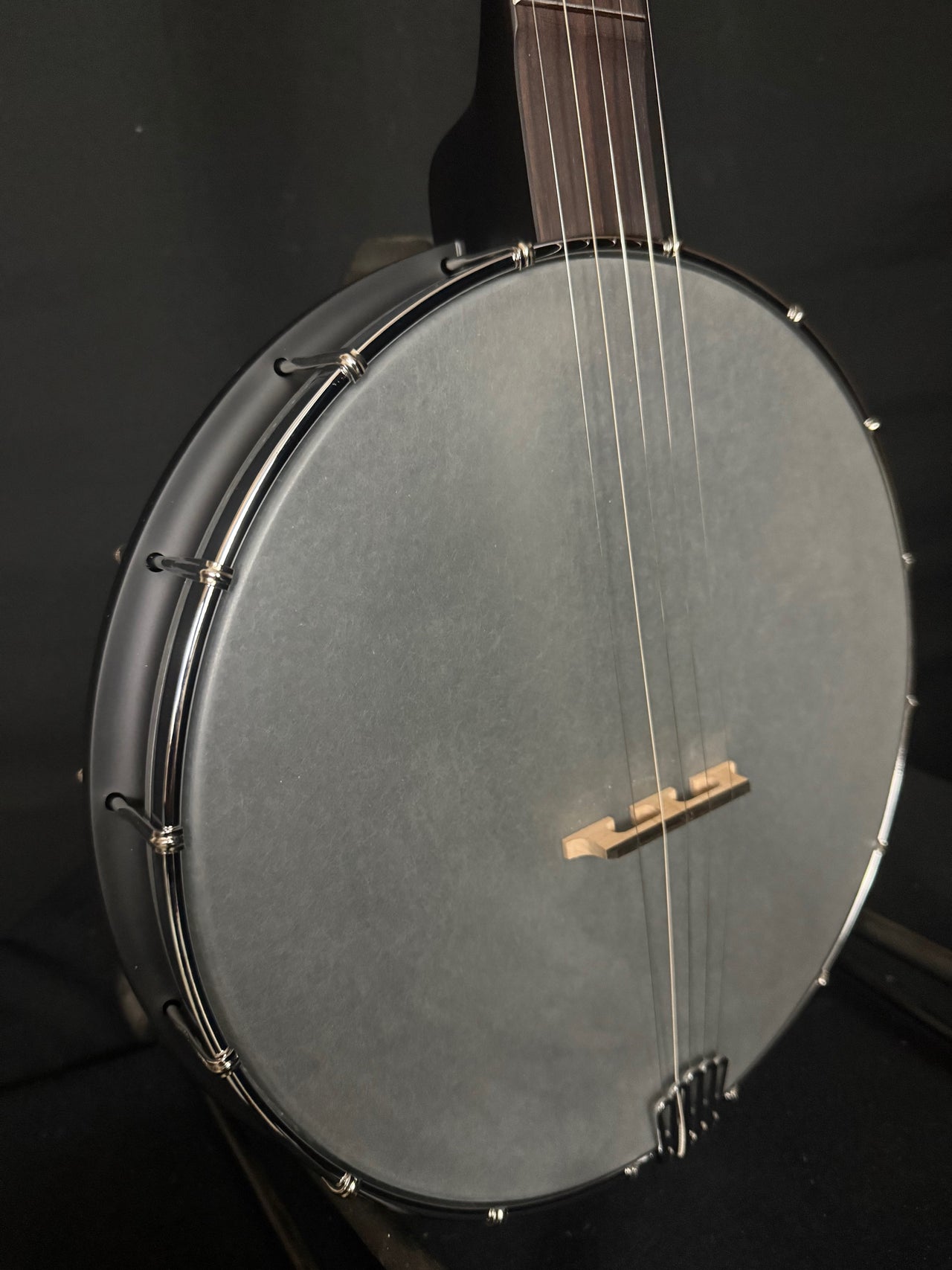 Gold Tone AC-12 Open-back banjo