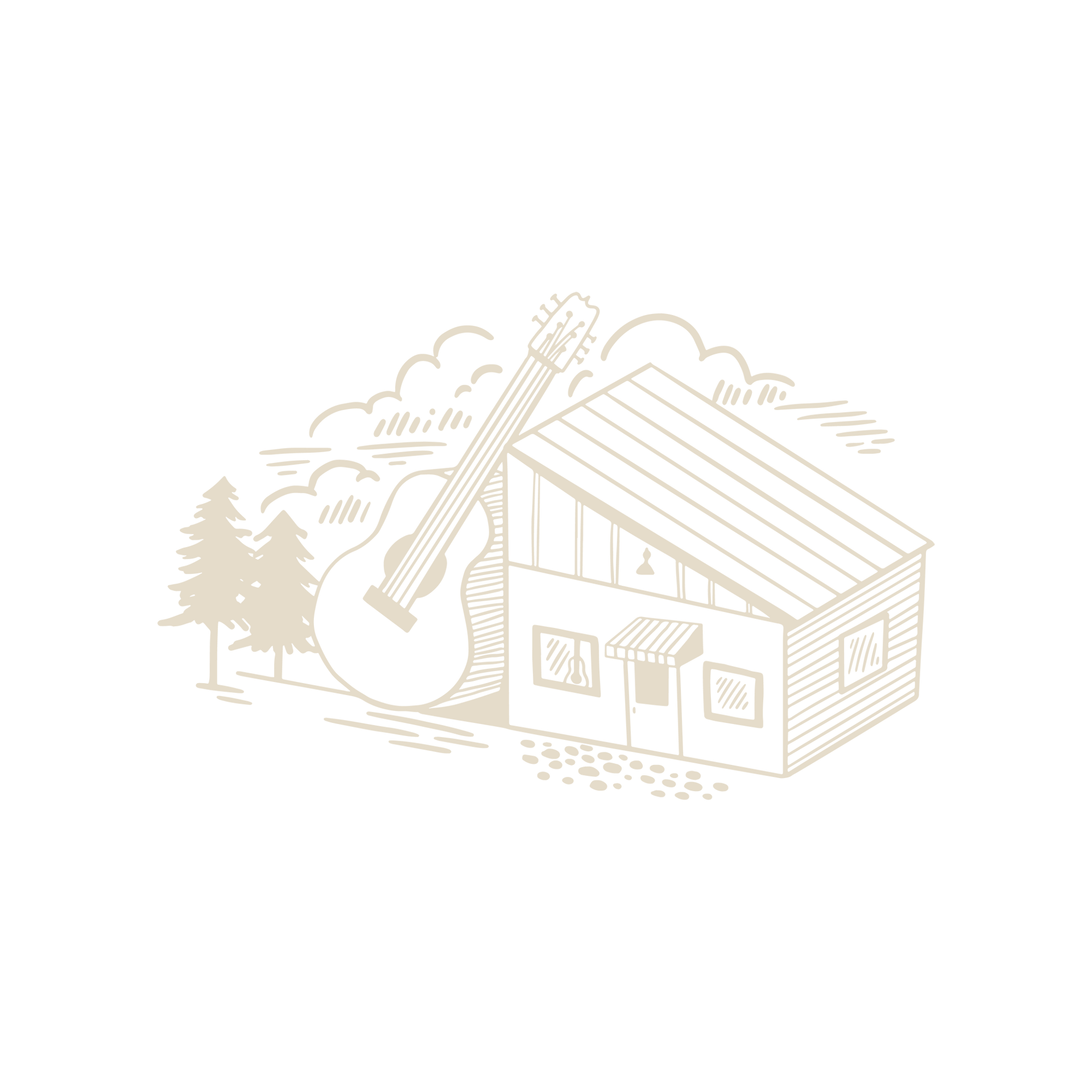 Best Local Music Store Asheville Black Mountain Acoustic Corner