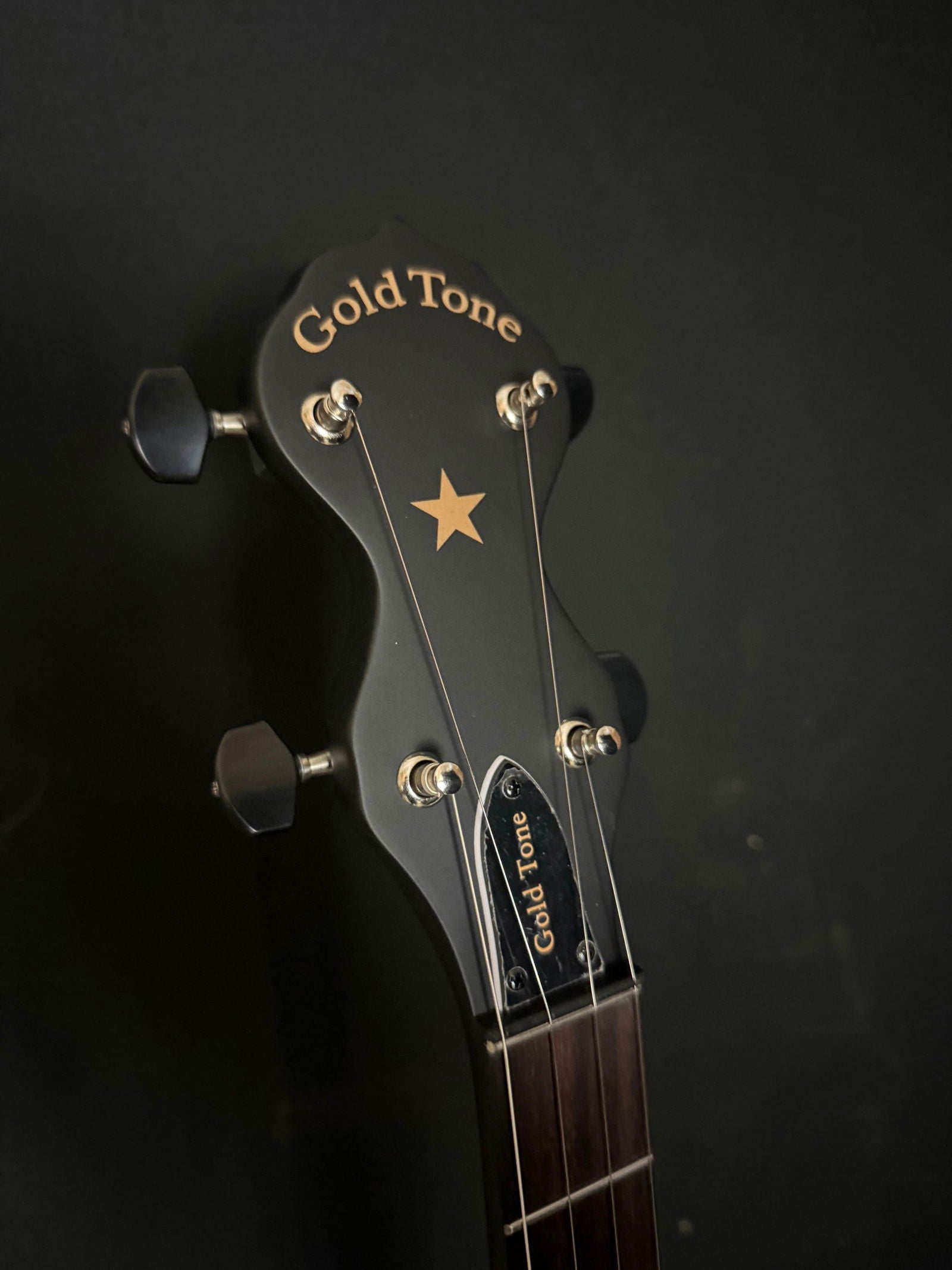 Gold Tone AC-12 Open-back Banjo - Acoustic Corner