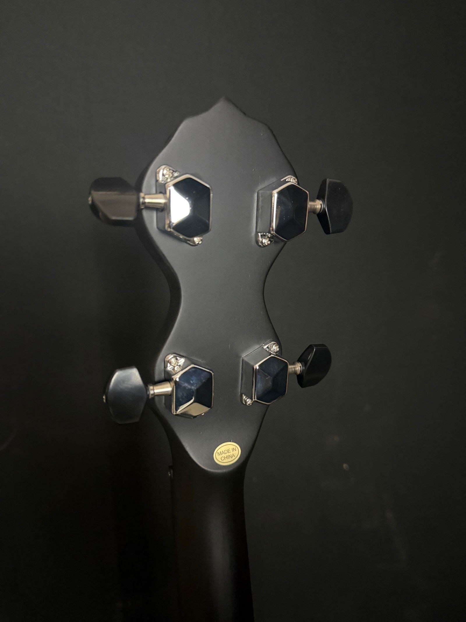 Gold Tone AC-12 Open-back Banjo - Acoustic Corner