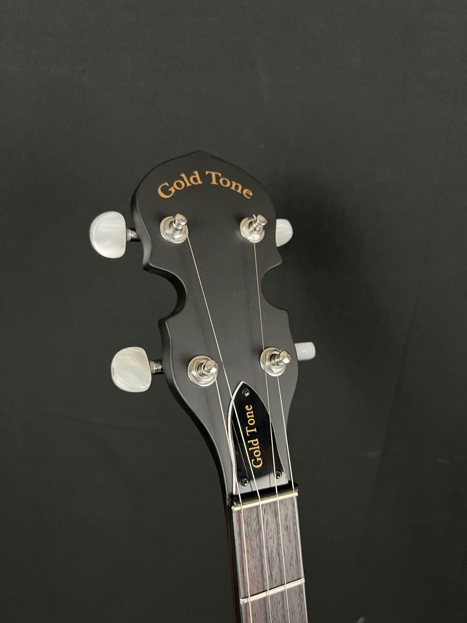 Gold Tone CC-50 - Acoustic Corner