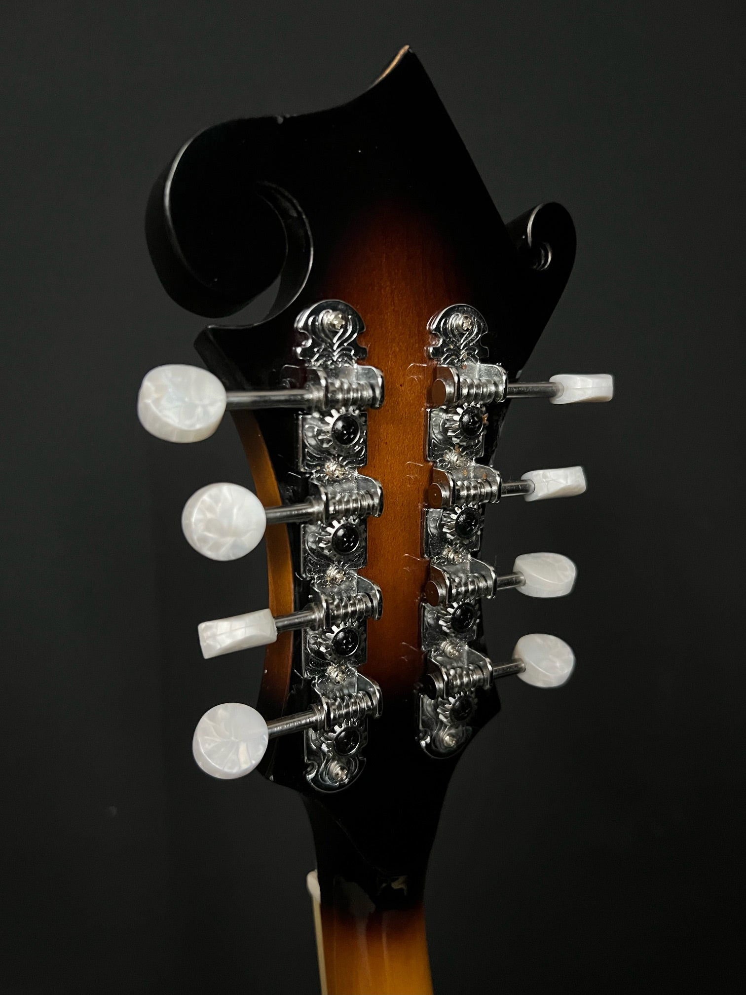 Gold Tone GM-35 F-style Mandolin - Acoustic Corner