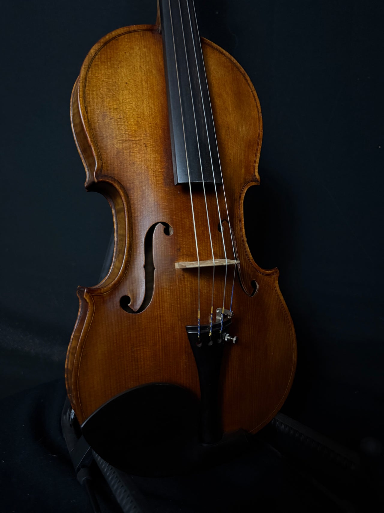 "JL" Violin setup by Kate Rickenbacker