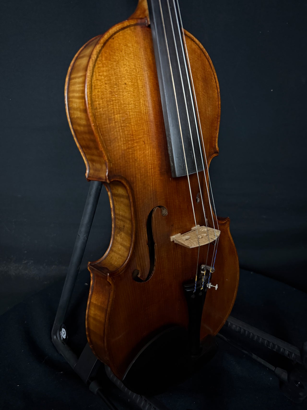 "JL" Violin setup by Kate Rickenbacker