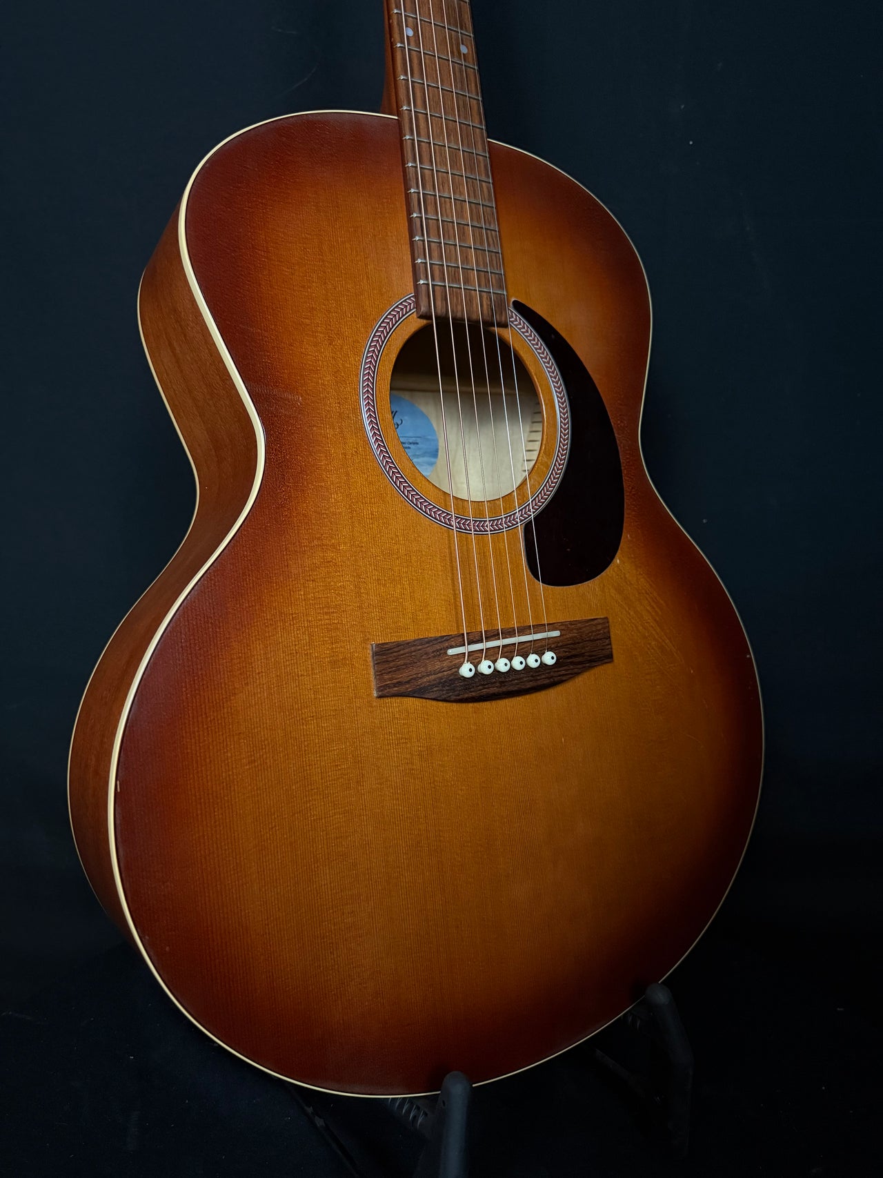 Circa 2010 Seagull Entourage Mini Jumbo