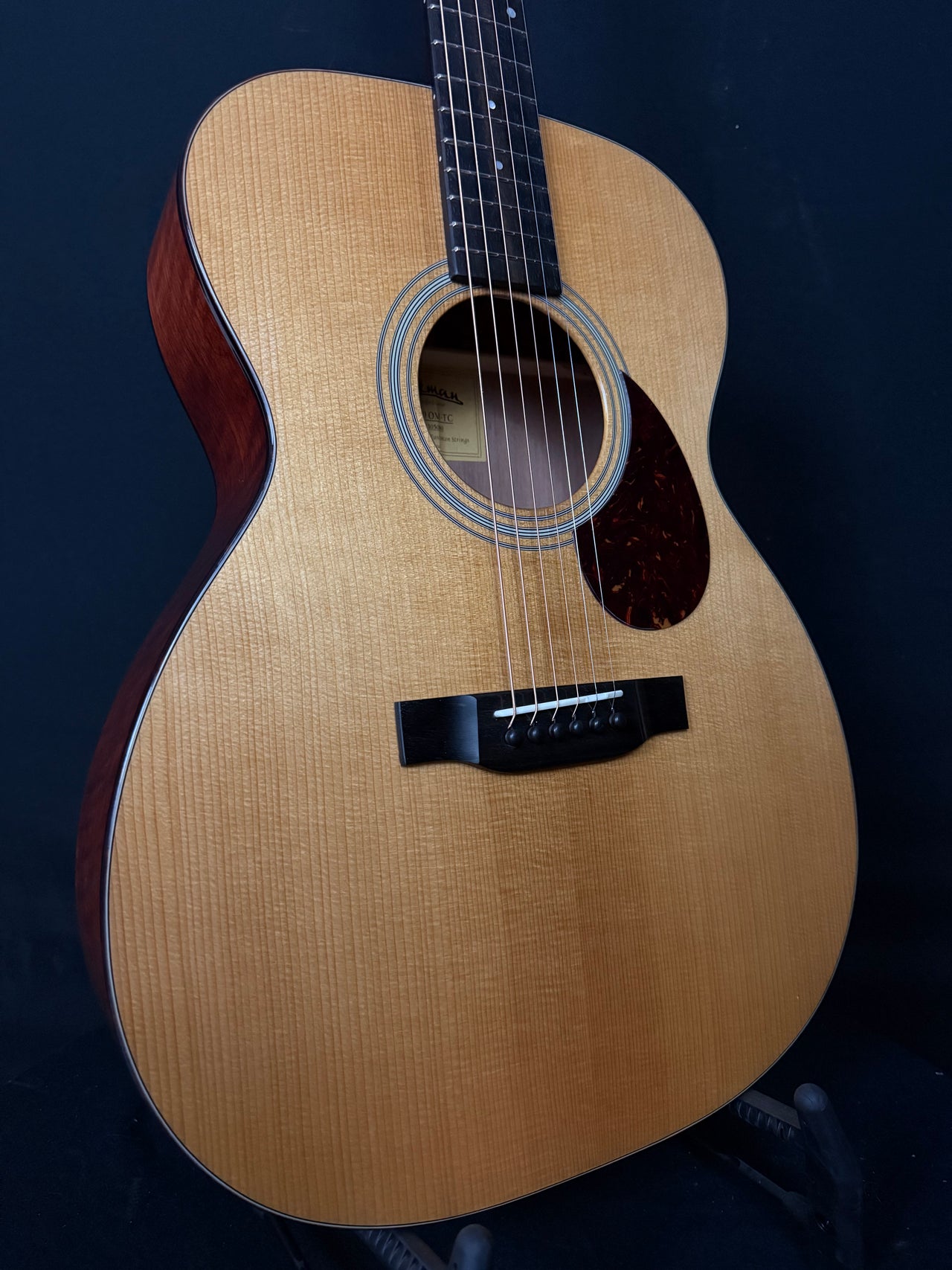 Eastman E10 OM-TC